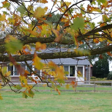 Bed & Breakfast B&B Roodbeekerhof Vlodrop