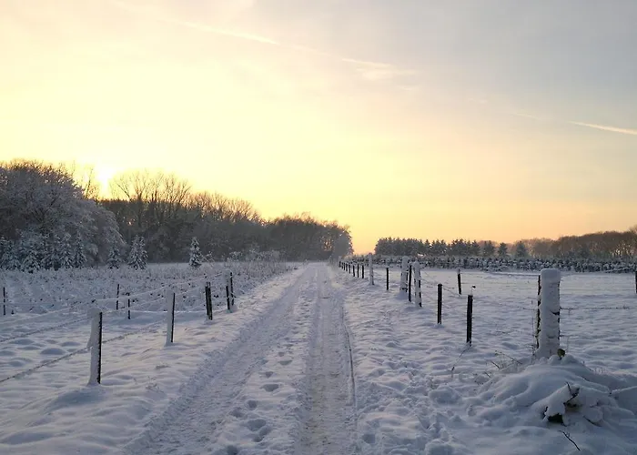 Bed & Breakfast Roodbeekerhof