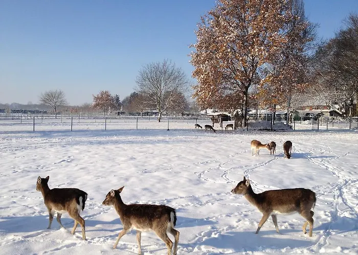 Bed & Breakfast Roodbeekerhof Vlodrop